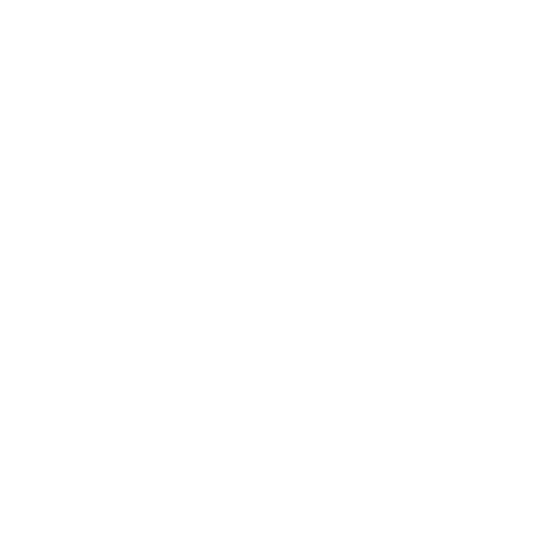 logo light