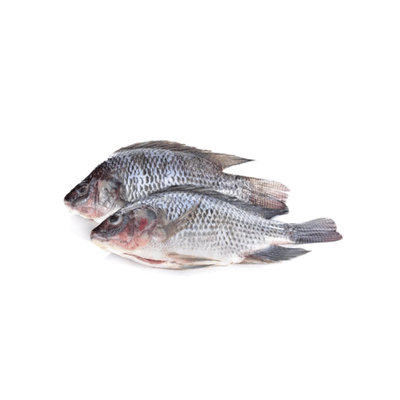 Tilapia G&S IWP (1kg)