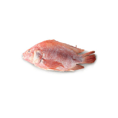 Red Tilapia G&S (1kg)
