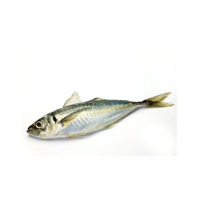 Horse Mackerel (1kg)