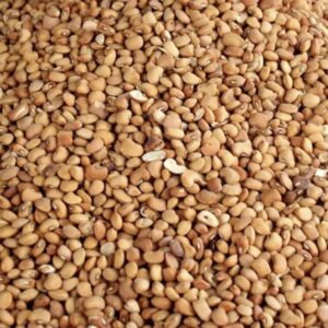 FAITHVIC Honey Beans – Oloyin (4kg)